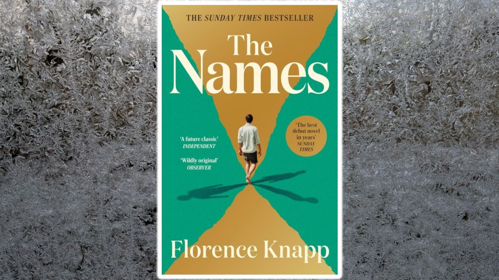 The Names by Florence Knapp. Cover on frosted window background