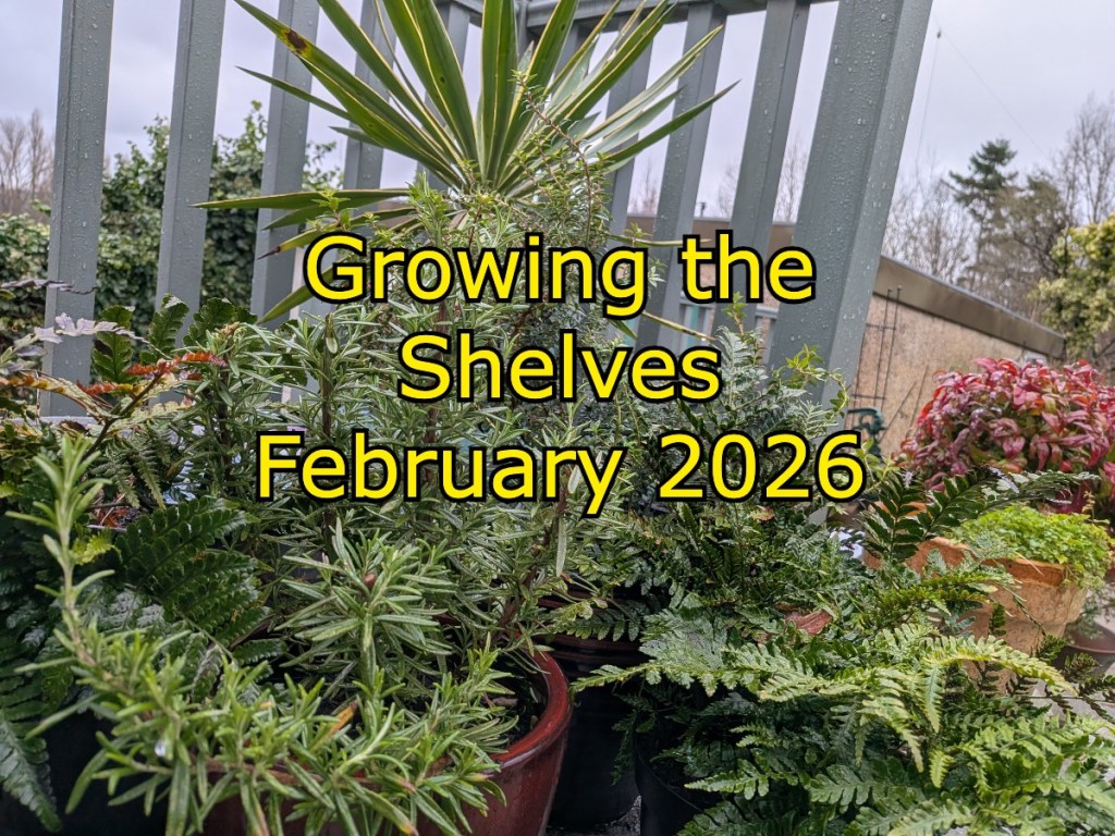 Growing the Shelves 2026. On a evergreen potted plant background