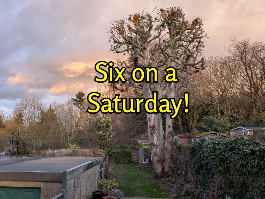 Six on Saturday&nbsp;21/2/2026