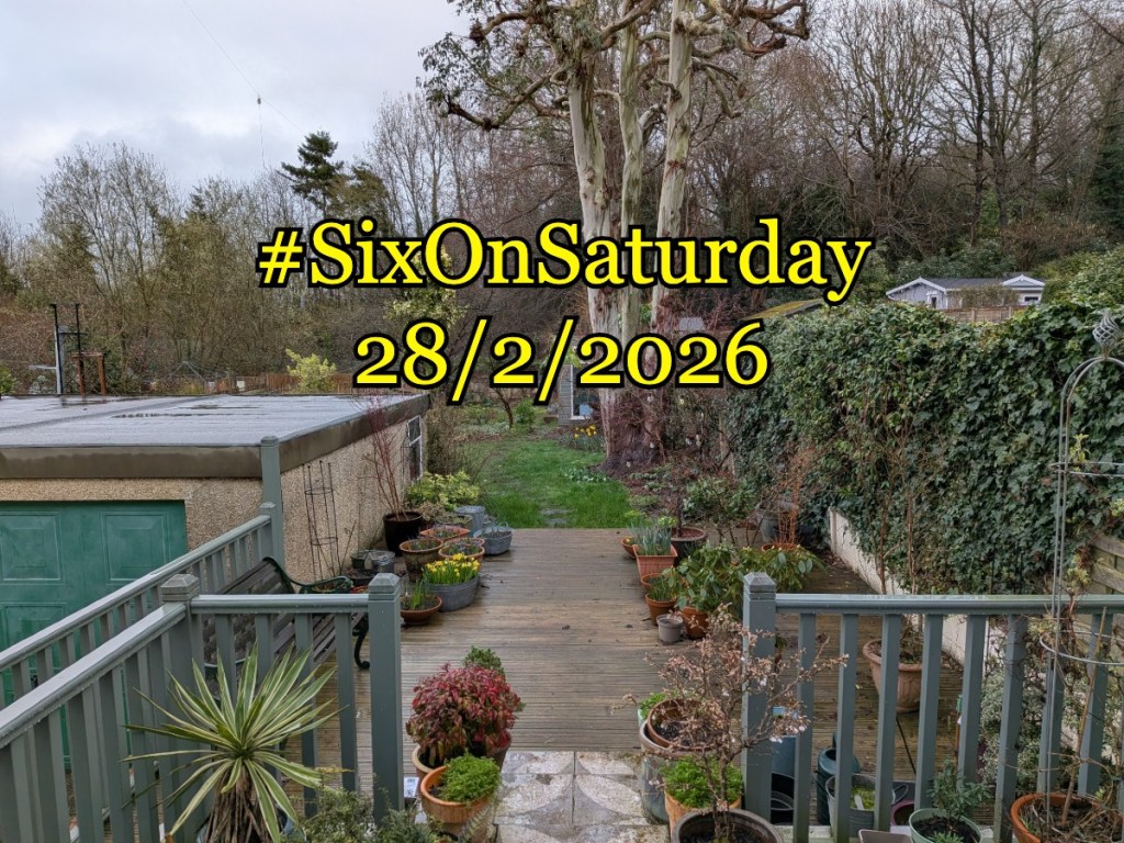 Six on Saturday Banner over a damp early spring garden.