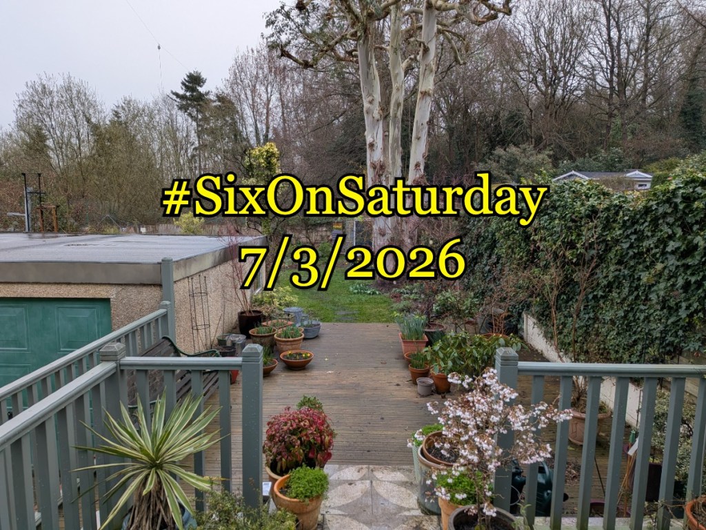 Six on Saturday 7/3/2026 Banner over a damp spring garden