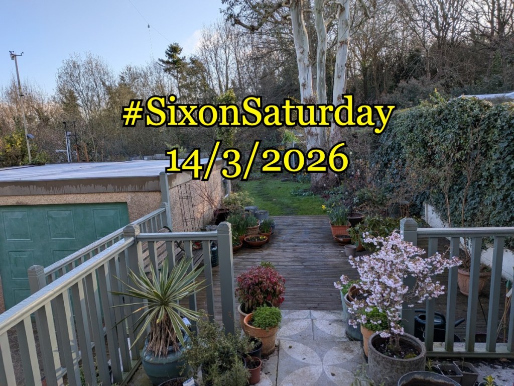 #Sixonsaturday banner for 14/3/2026. Garden with a slightly frosted garage top.