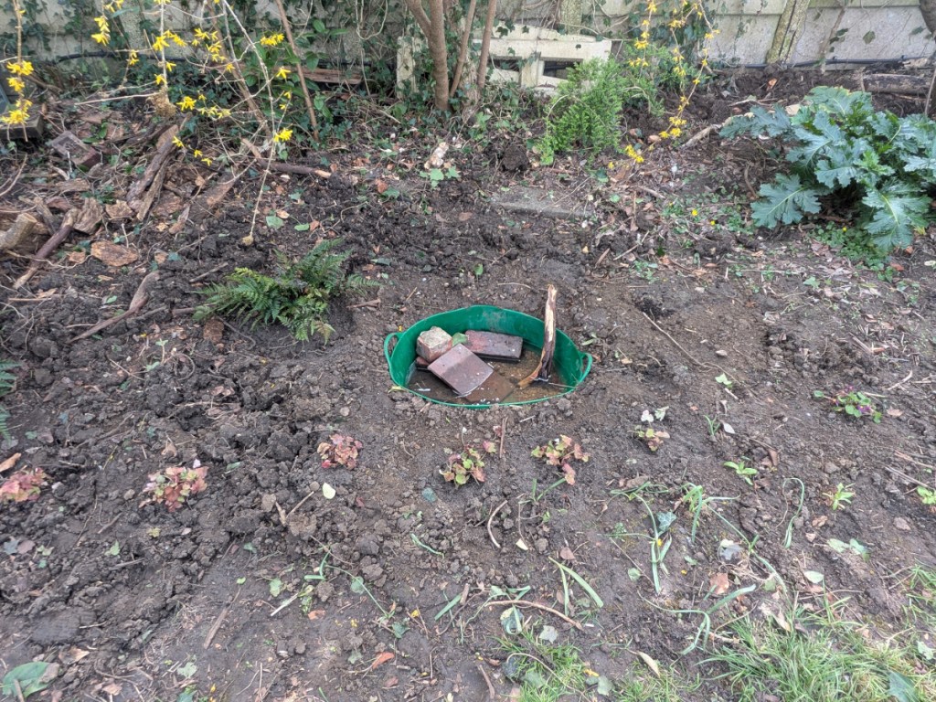 A forlorn looking nature pond or a maybe just a bucket half full of water.