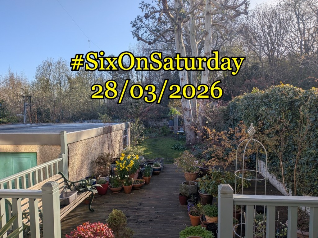 Garden in early spring sunshine with "#sixonsaturday 28/3/2026 " banner
