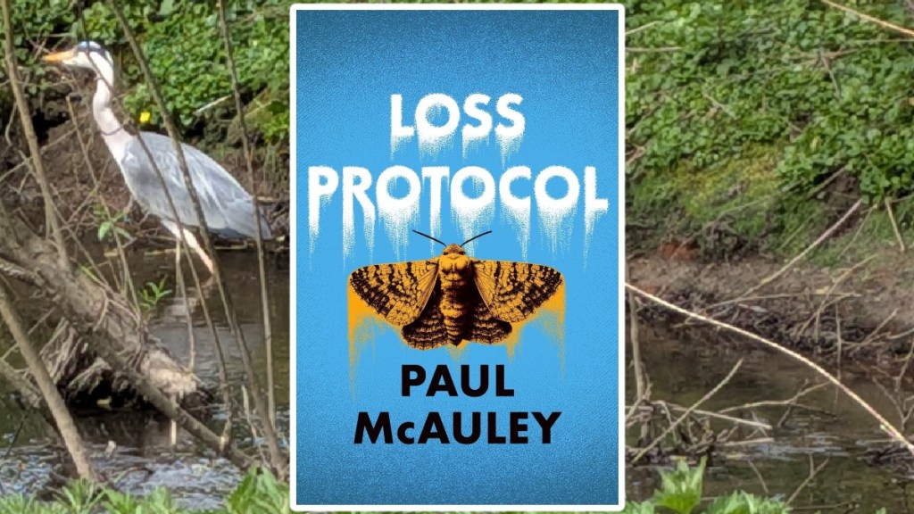 Loss Protocol by Paul Mcauley, with the background of stream with a heron