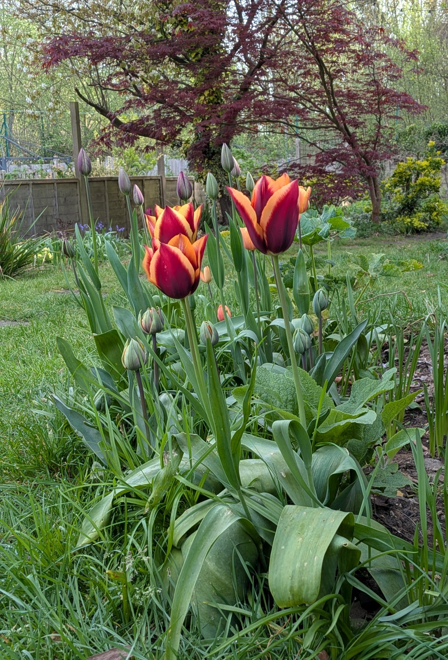 Pot Plot #SixOnSaturday 11/04/2026 – PotsandPlots