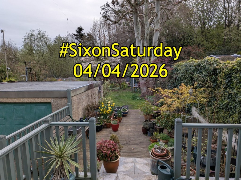#SixOnSaturday 04/04/2026