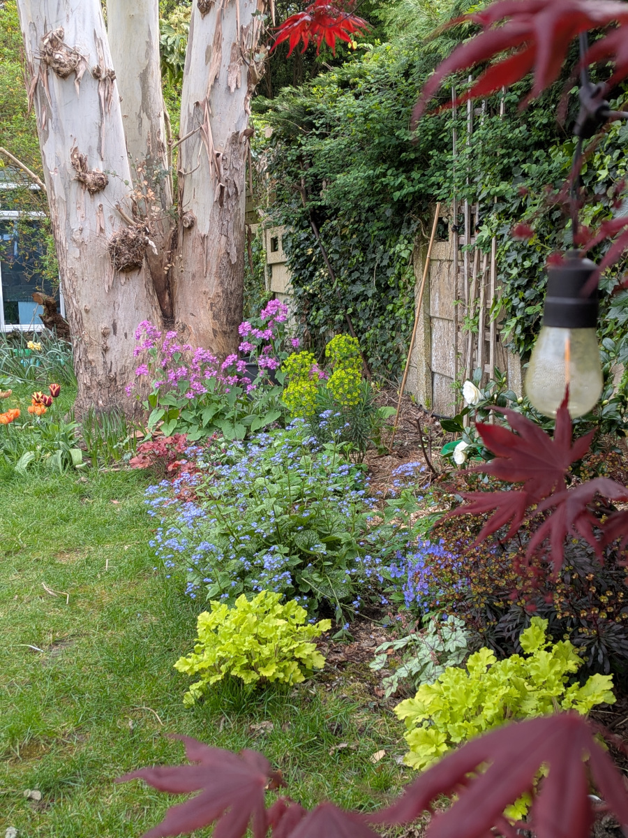 Another garden view from beyond the tulips