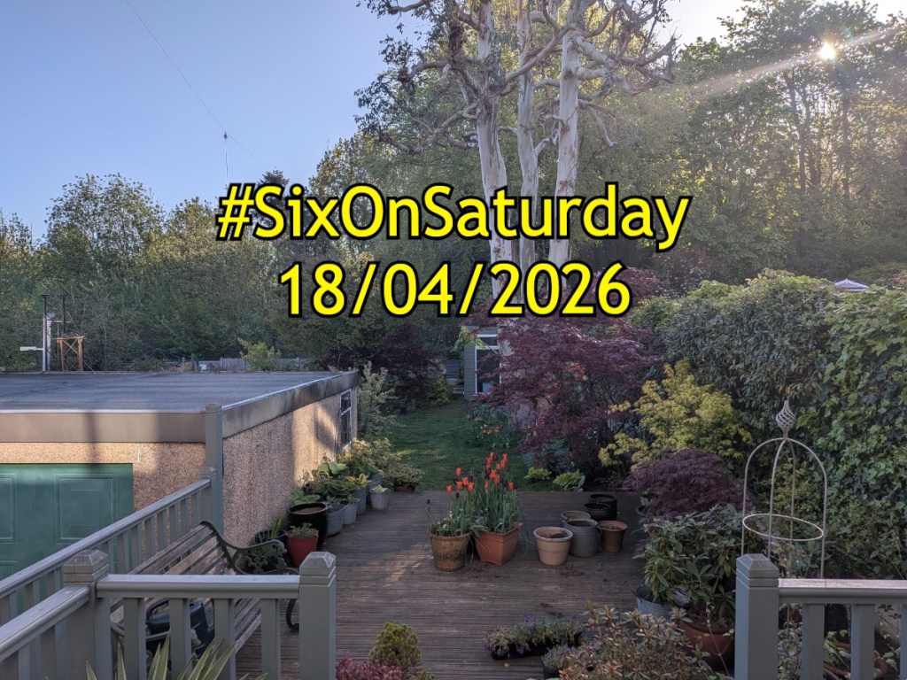 Garden photo with SixonSaturday banner for 18th April 2026