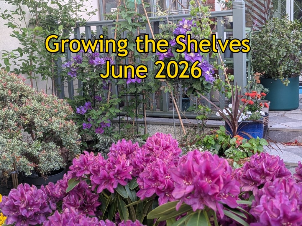 Growing the Shelves Jun 2026 banner