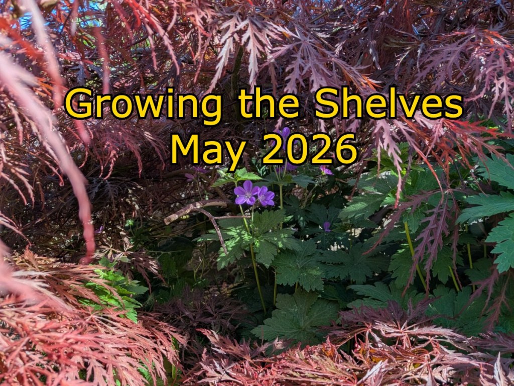 "Growing the shelves May 2026" text over a maple tree with small purple geranium flower