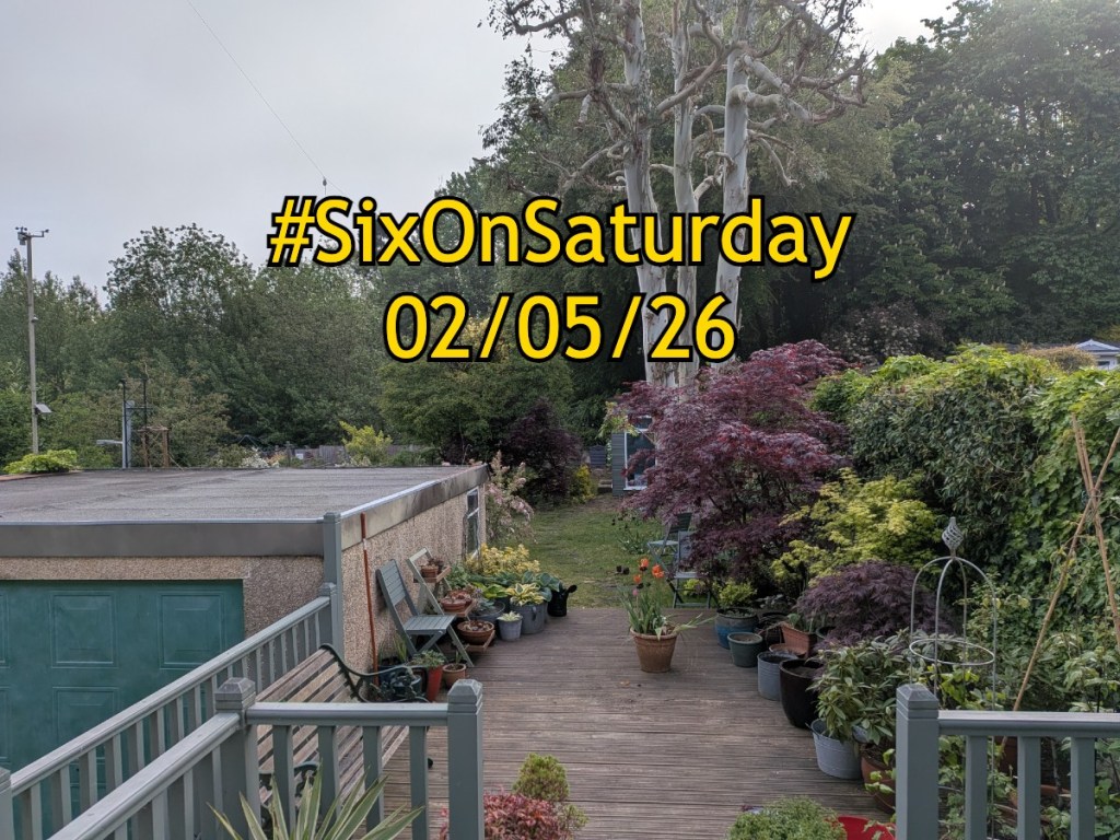 Six on Saturday banner for 02/05/2026