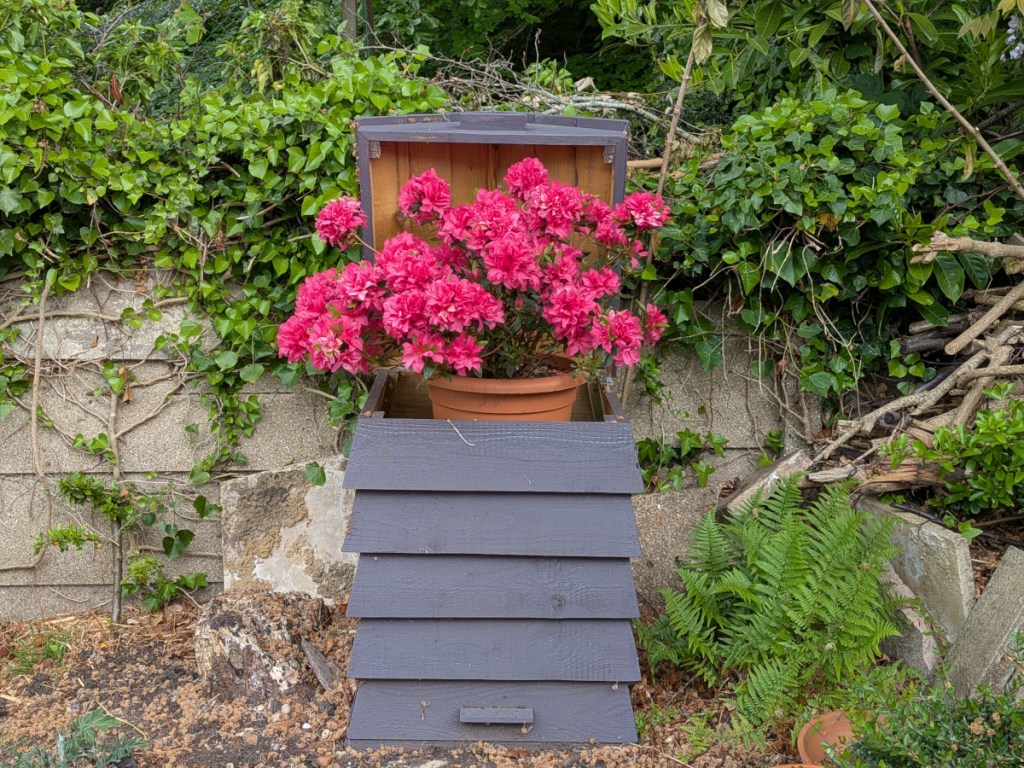 A purple beehive planter with a pink azalea sticking out of it. 