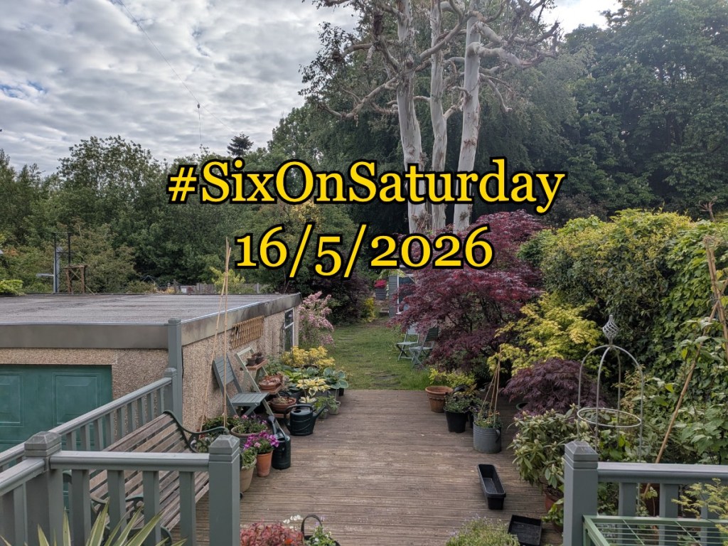 Six on Saturday 16/5/2026 banner over a garden scene