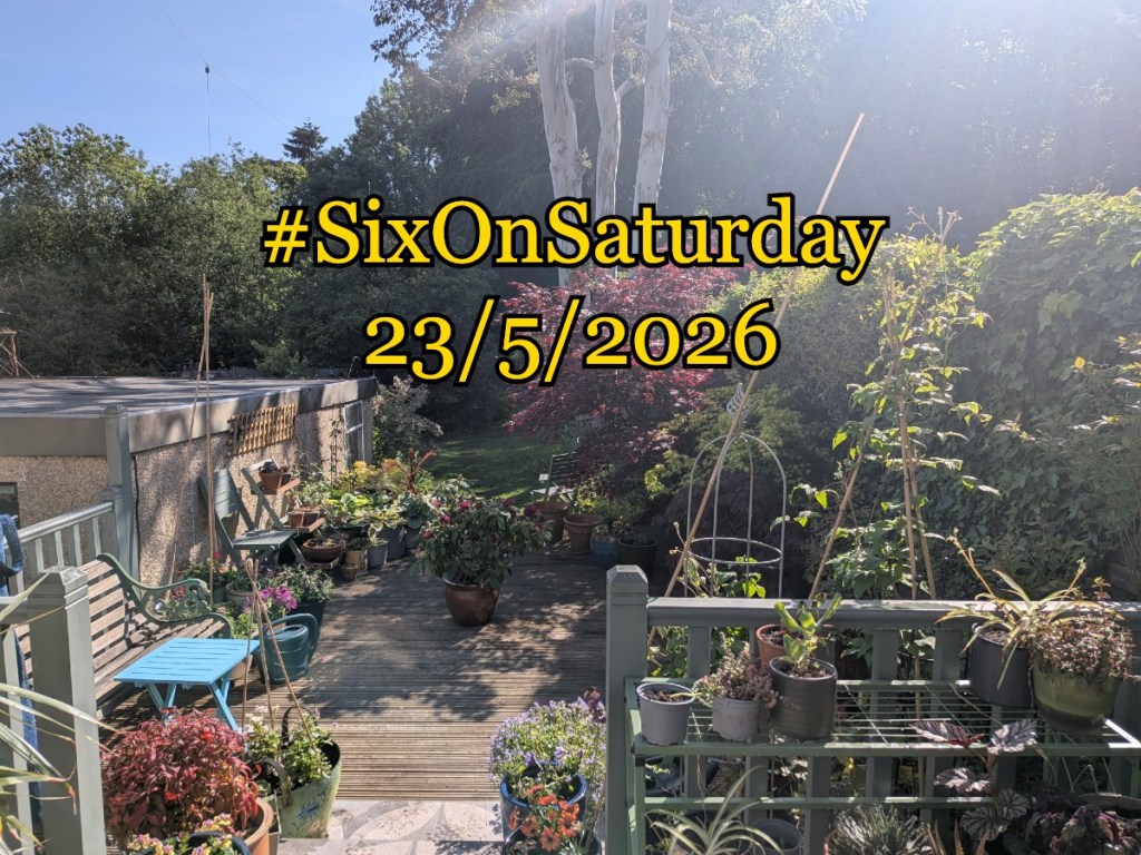 #SixOnSaturday 23/05/2026