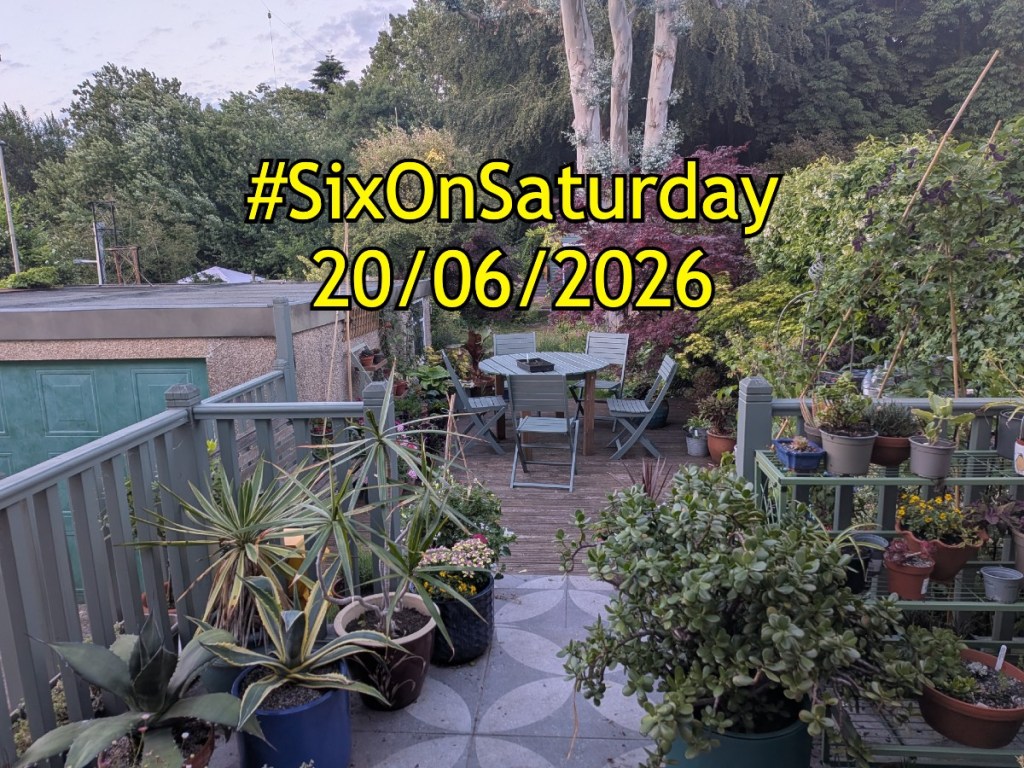 SixOnSaturday banner for 20/6/2026