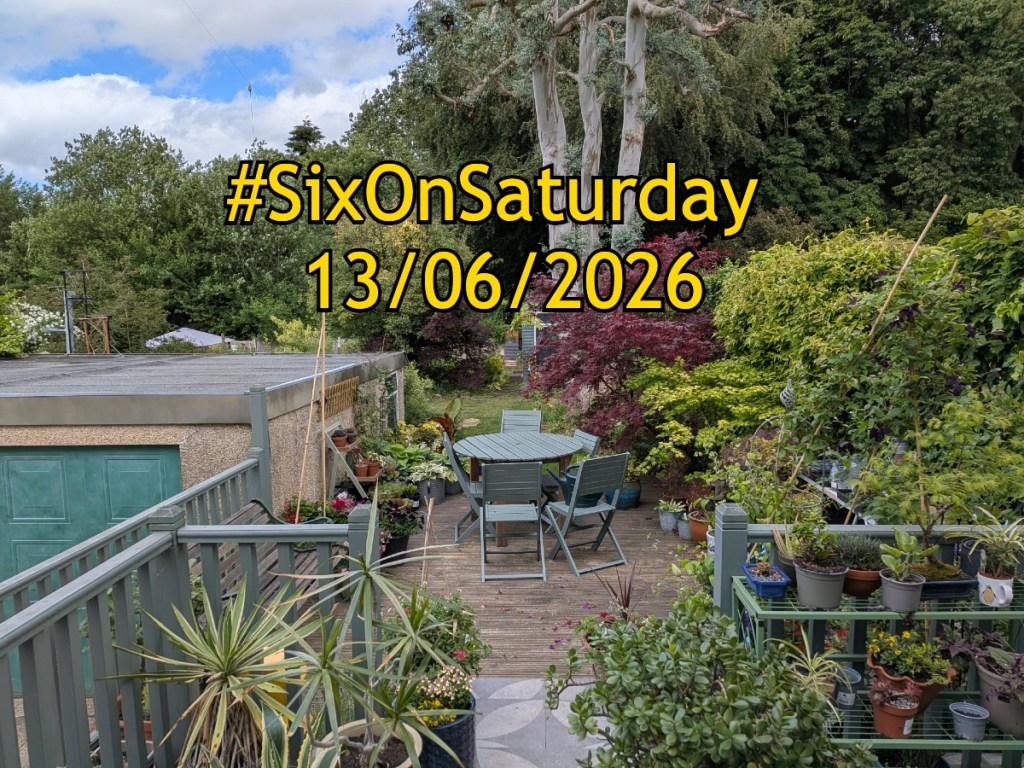 Six on Saturday banner for 13/6/2026 text over a photo of a summer garden