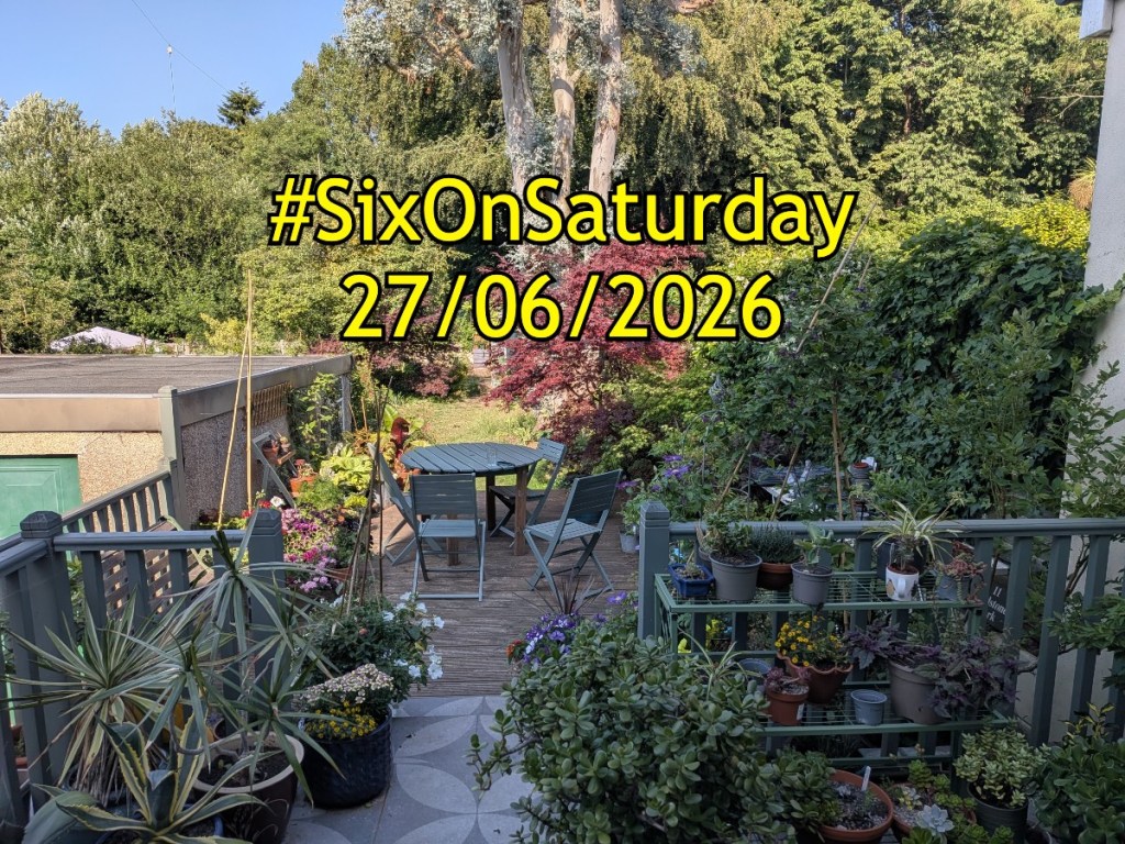 #SixonSaturday banner for 27/6/26