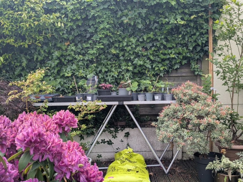 A table full of seelings