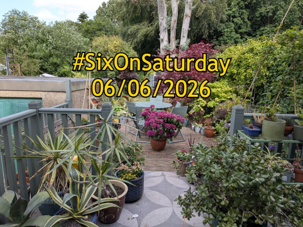 Six on Saturday banner for 6th June 2026. Text over a photo of a garden.