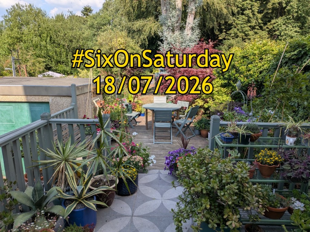#SixOnSaturday 18/07/2026