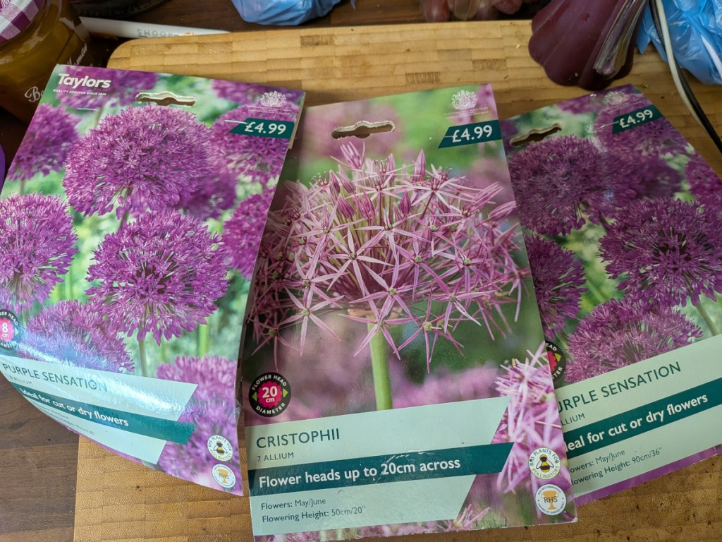 Some alium bulb packets