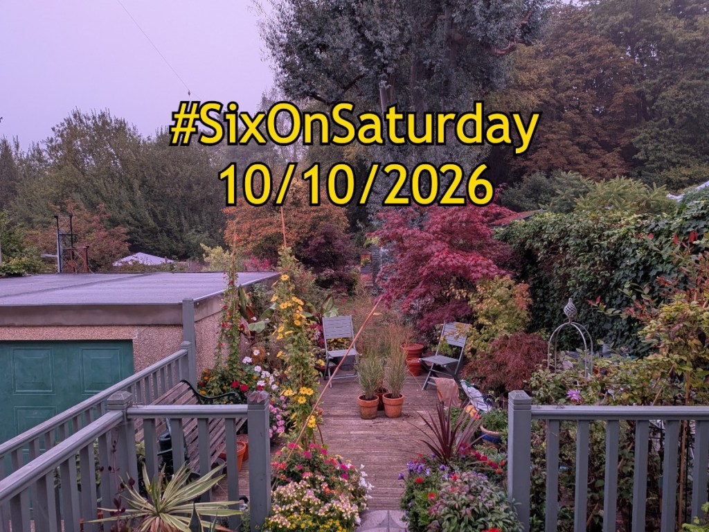 Six on Saturday banner for 10/10/2026. Text over a photo of the garden