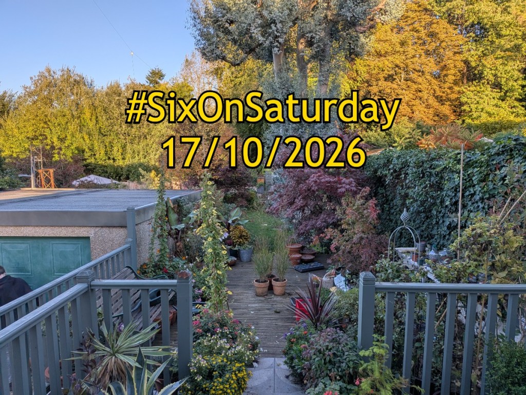 17/10/2026 Banner over an autumnal garden